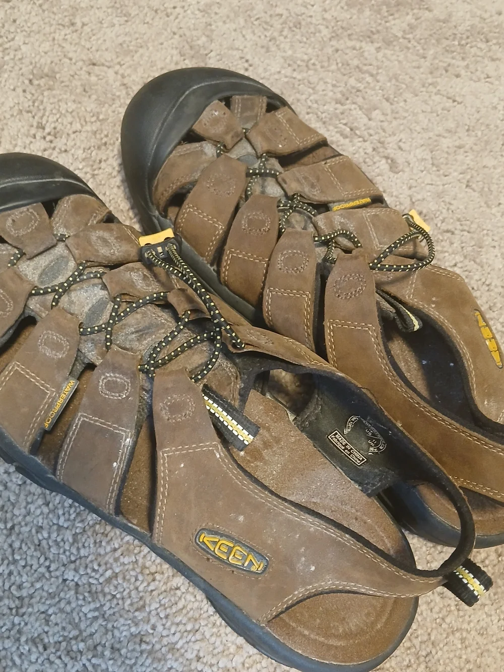 Keen Newport H2 fisherman sandals in a men's size 12.